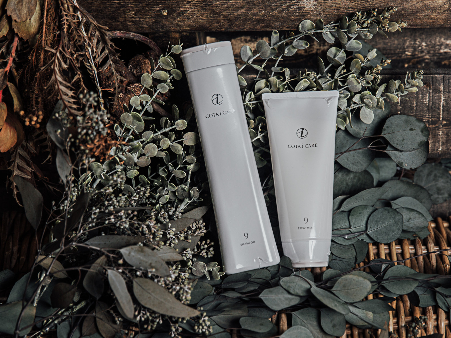 COTAキャンペーンのお知らせ | Torte（トルテ）公式HP